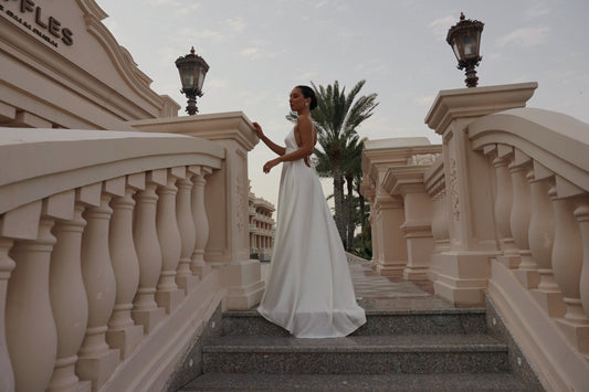 Meet the Roma Dress
